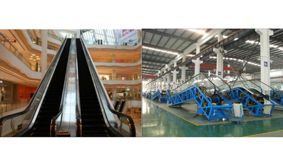 DIAO Indoor Escalator