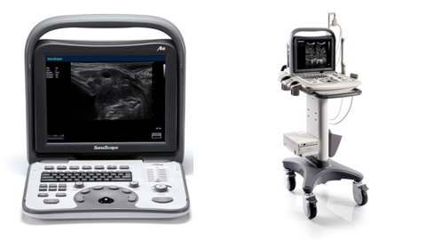 UltraSound B/W HCU A6